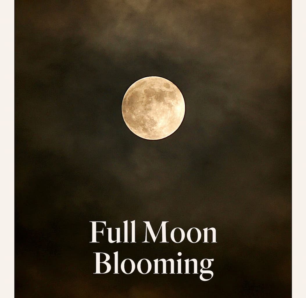 Full Moon Blooming