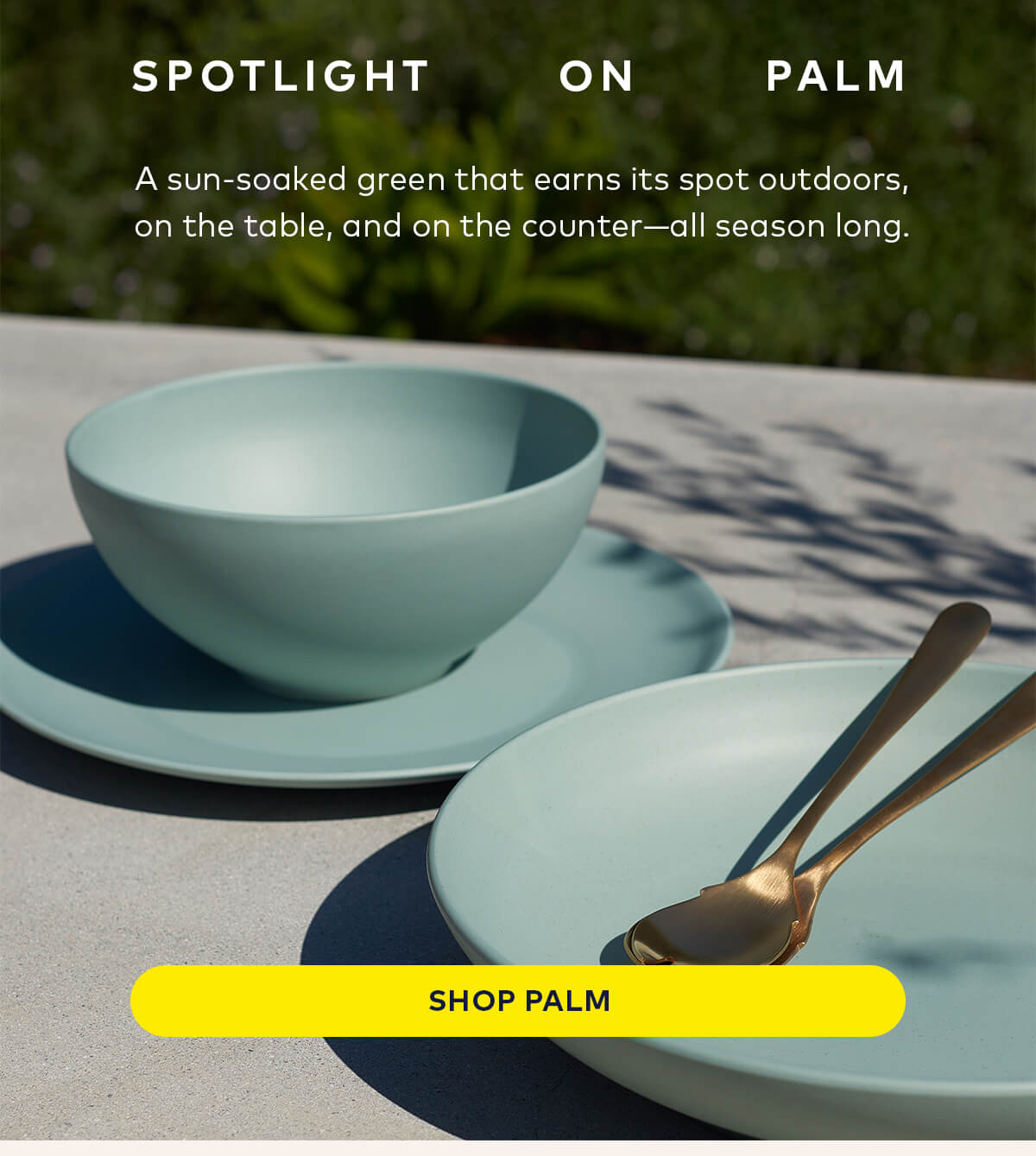 Shop Palm