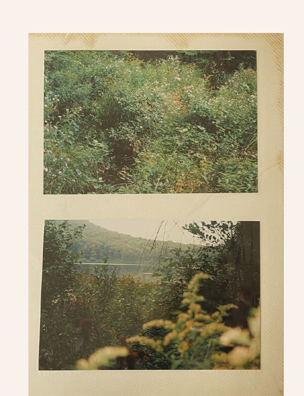 Shop the Collection Shop the Collection