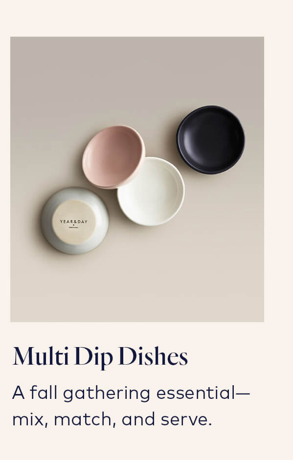 Multi Dip Dishes Multi Dip Dishes