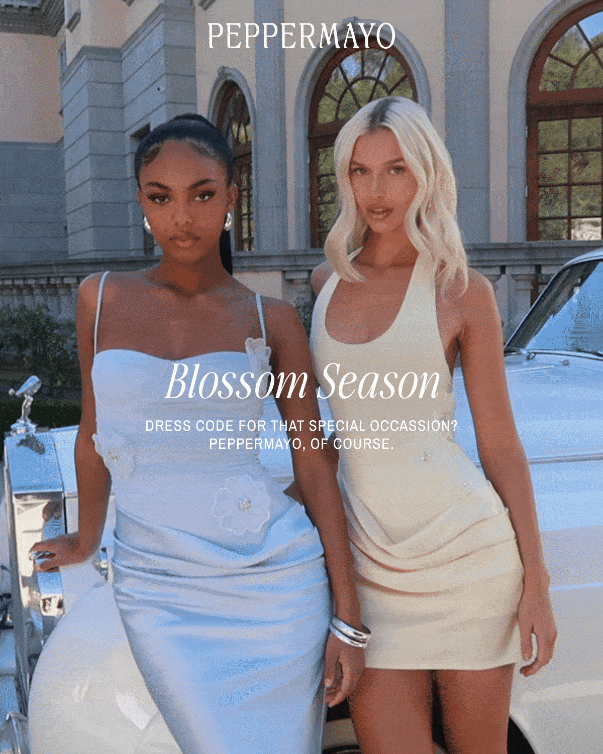 SHOP BLOSSOM SEASON