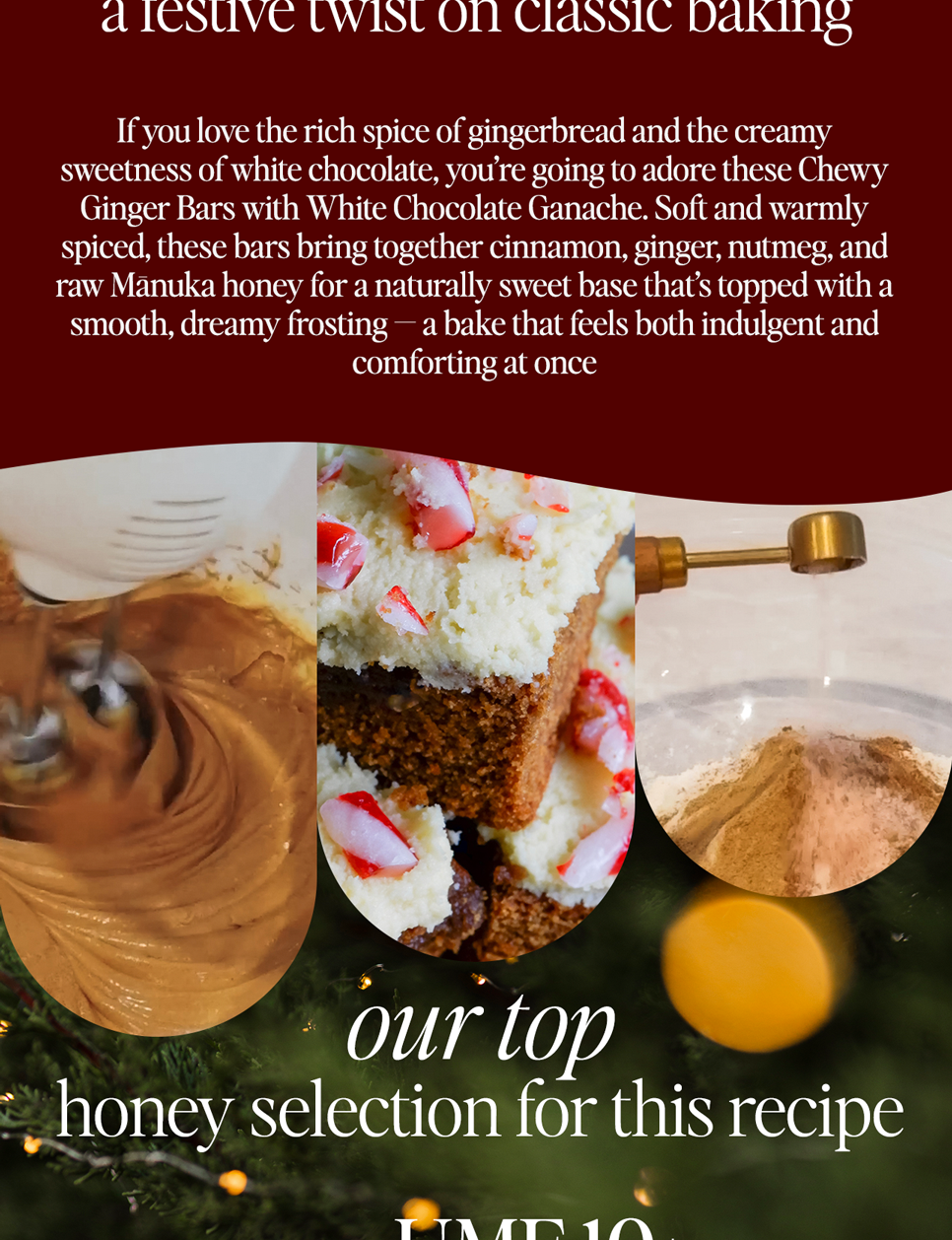 OUR TOP HONEY SELECTION