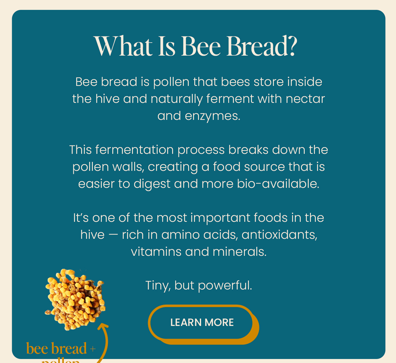 What is Bee Bread