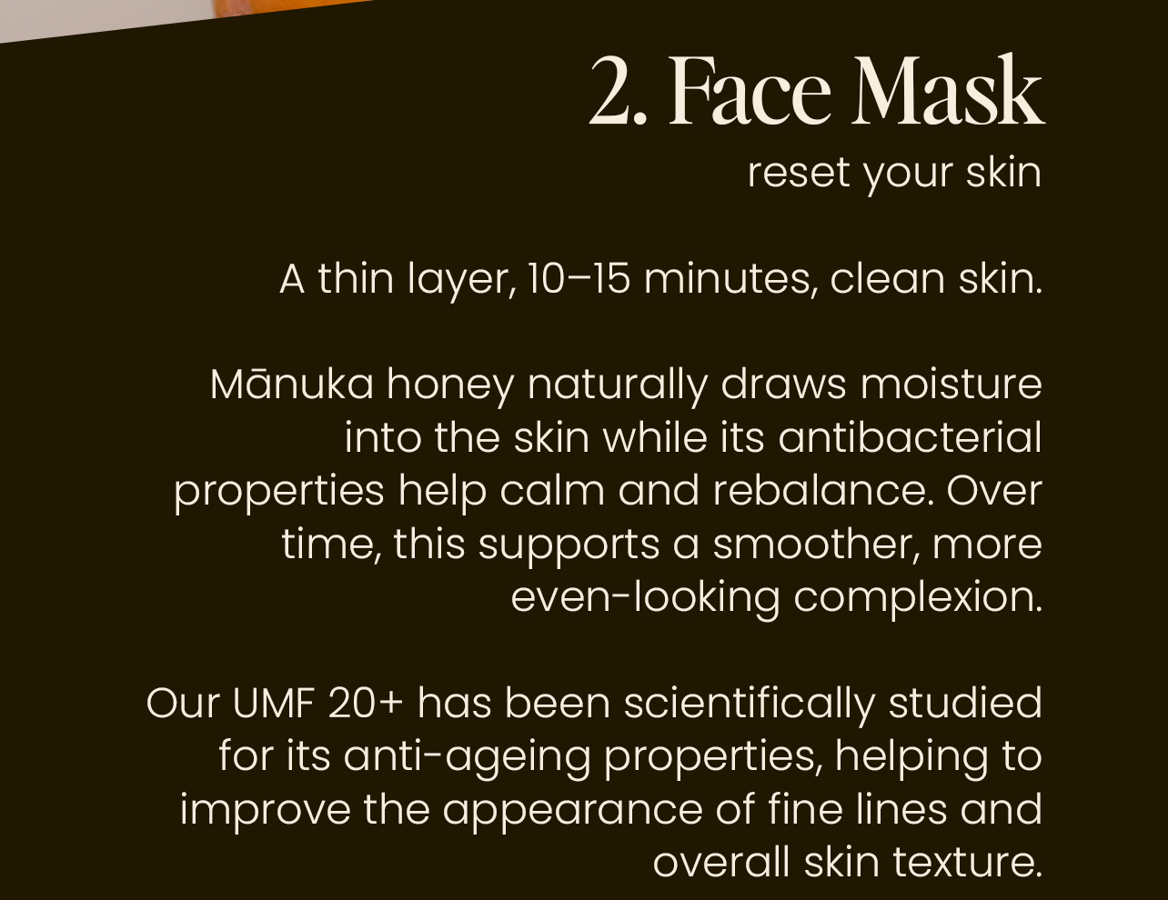 2. Face Mask