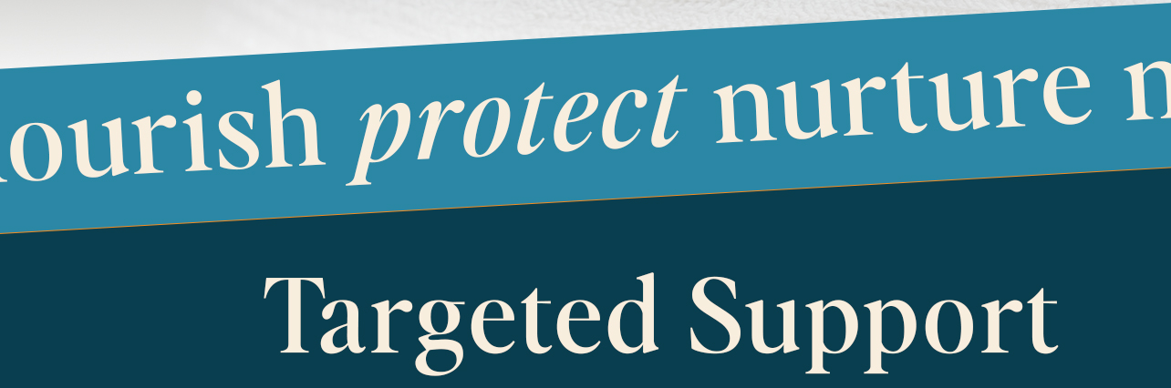 Targeted Support