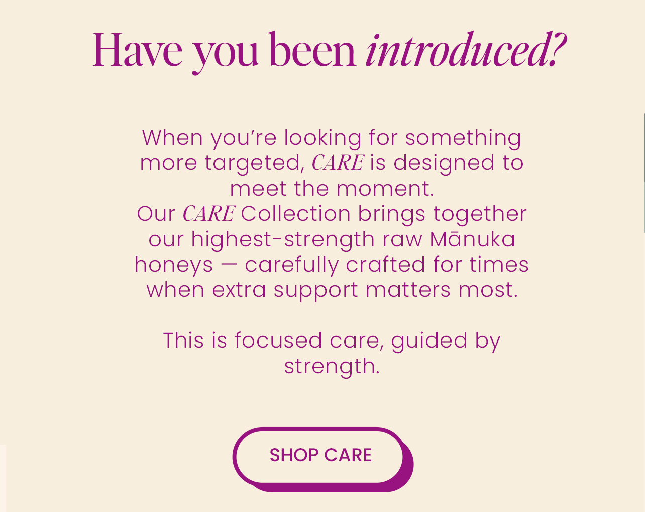 Have you been introduced?