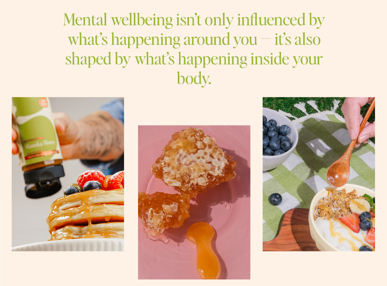 How are your gut & brain connected