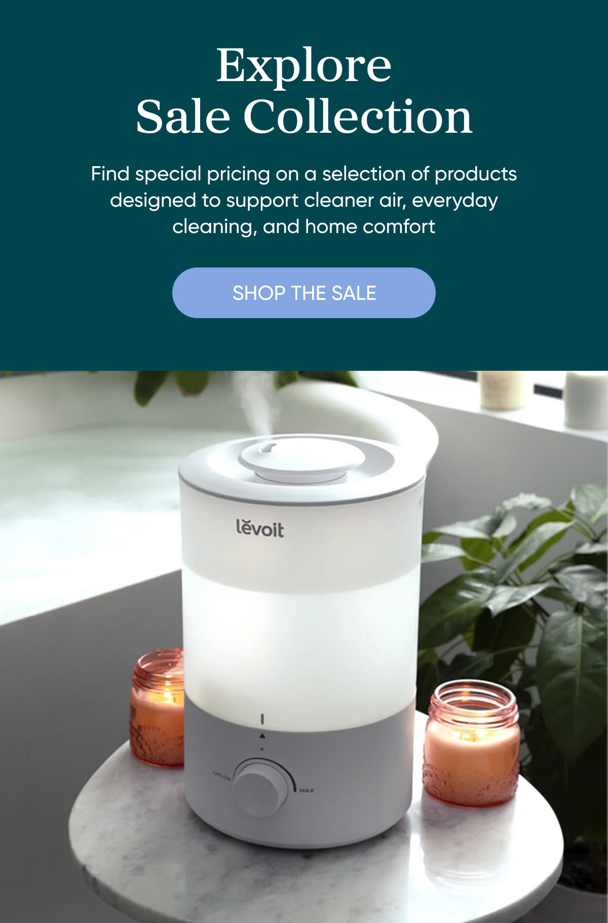 Explore Our Sale Collection