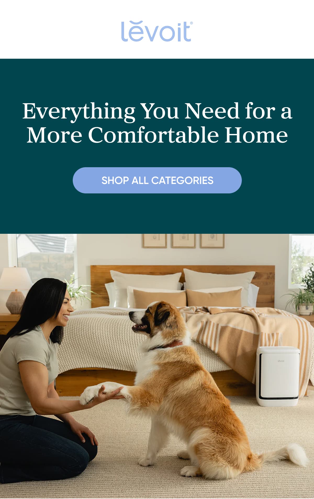 Everything you need for a more comfortable home