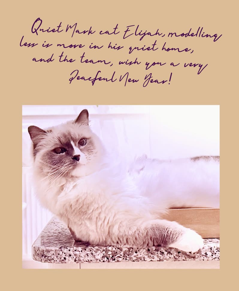 Quiet Mark cat Elijah, modelling less is more in his quiet home, and the team, wish you a very peaceful new year!