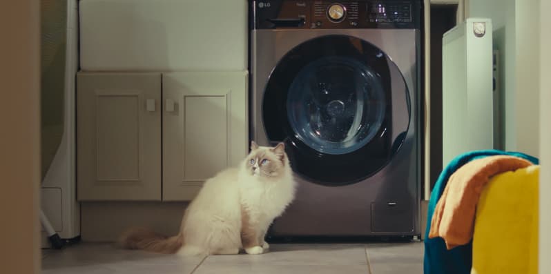 Cat sat next to quiet washing machine