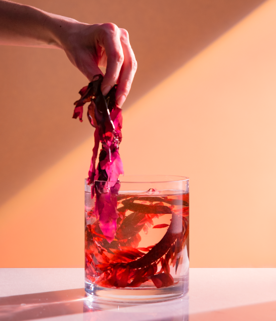 Seaweed Packaging Innovation EcoEnclose