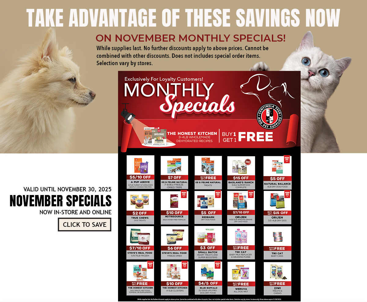 fromm 50th anniversary spotlight