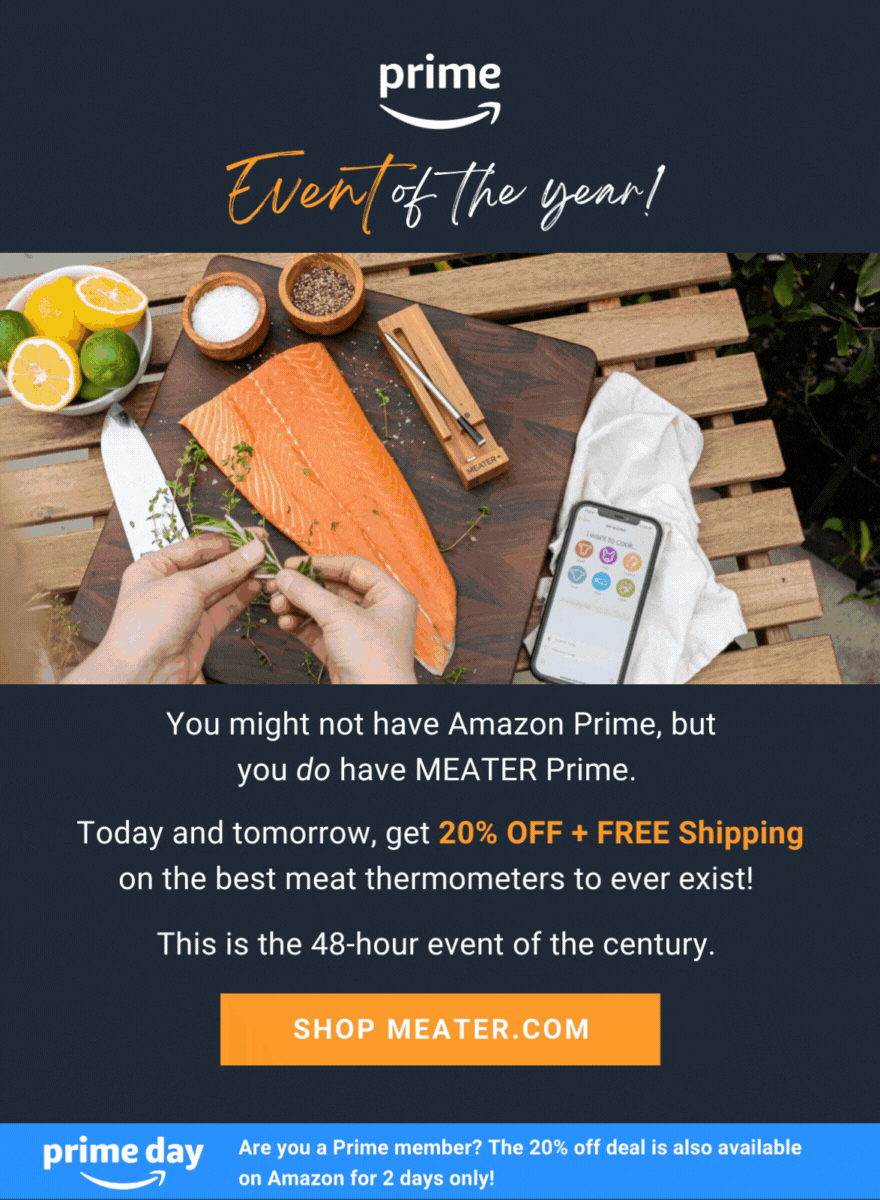 Get 20 Off. Steak Is Calling. 📞🥩 Meater