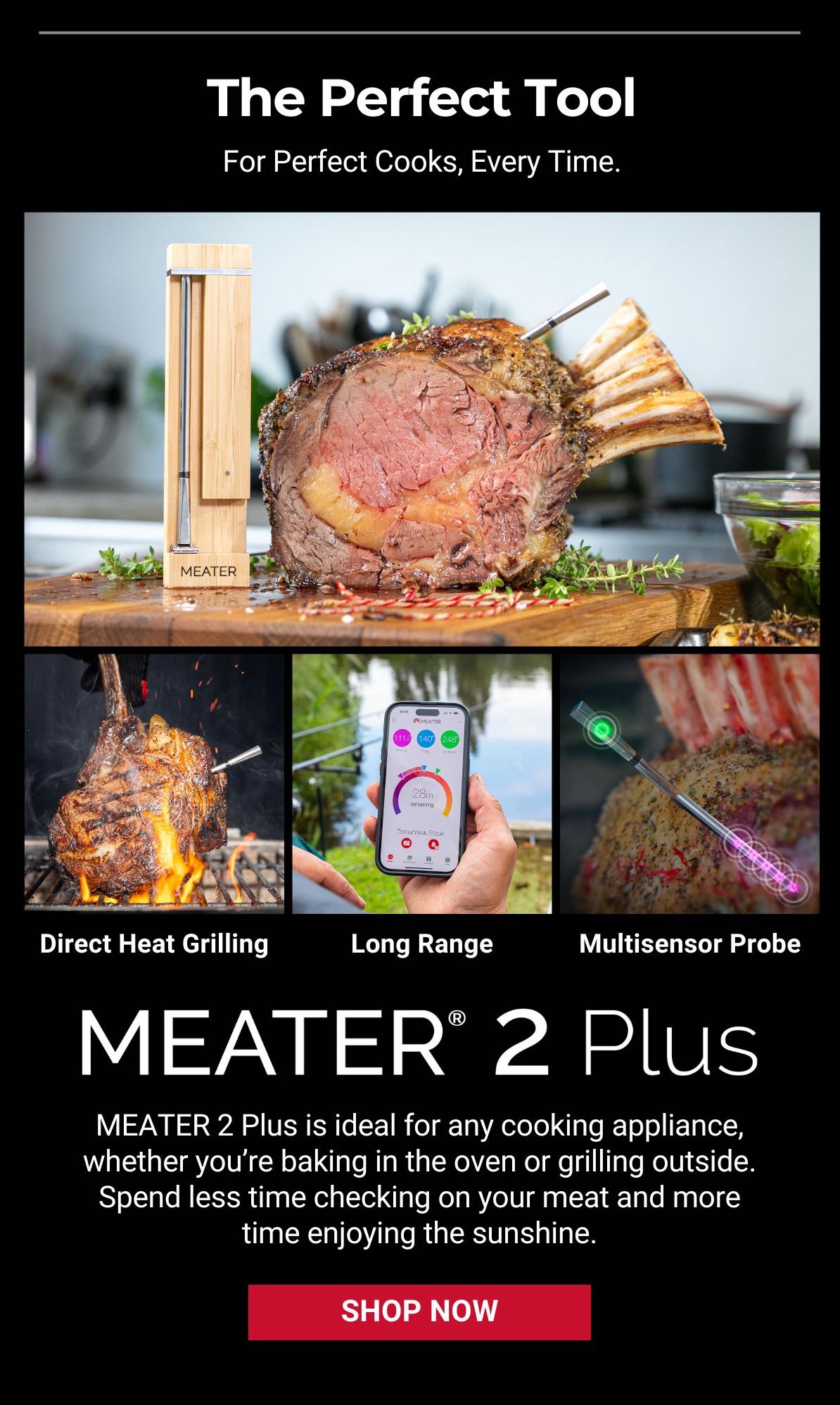 The AllTime Faves! Meater