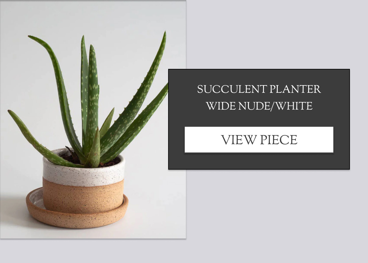 Succulent Planter Wide Nude/White