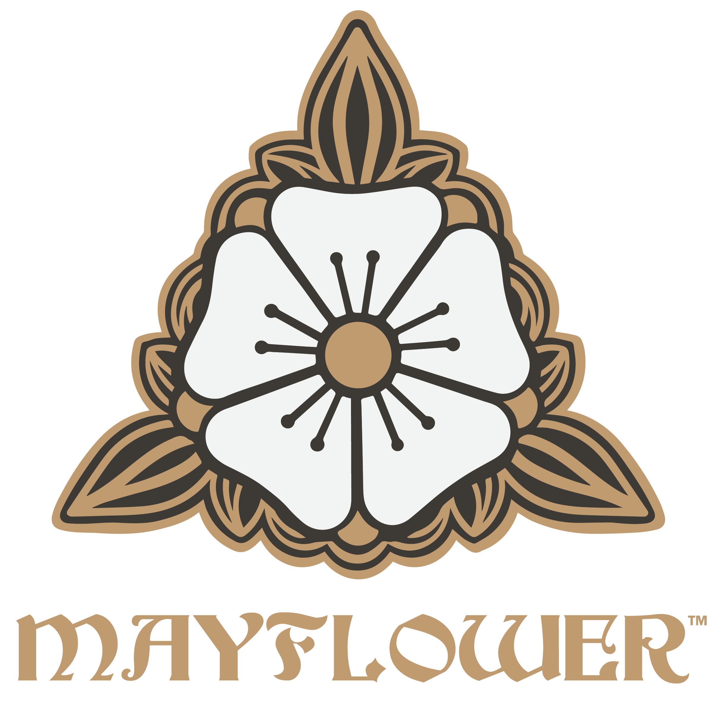 Mayflower Cigars