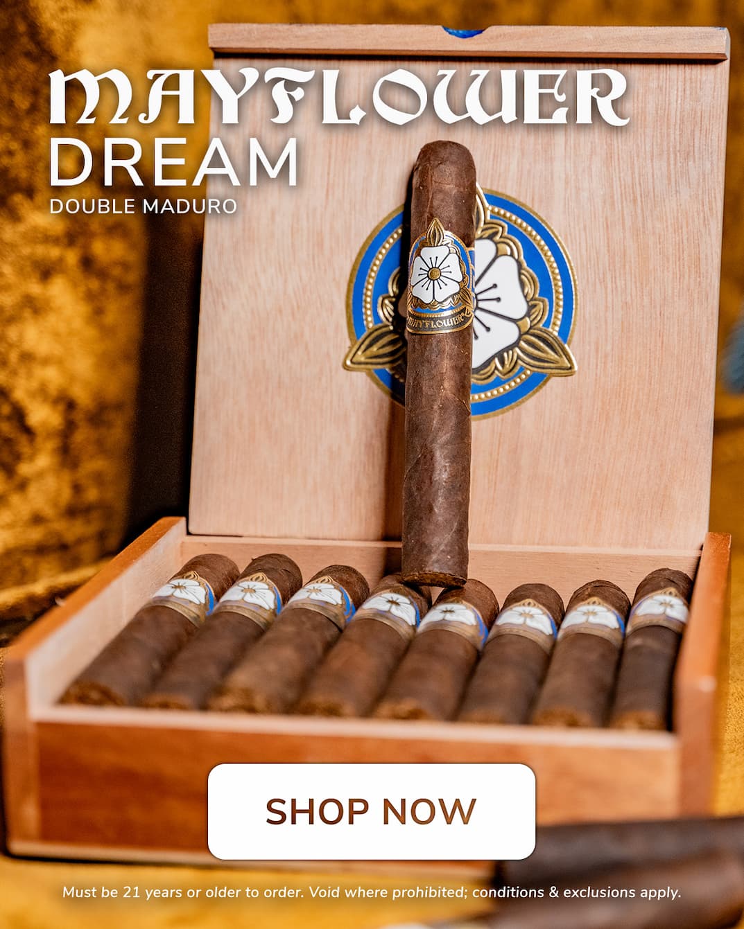 Mayflower Dream - Double Maduro
