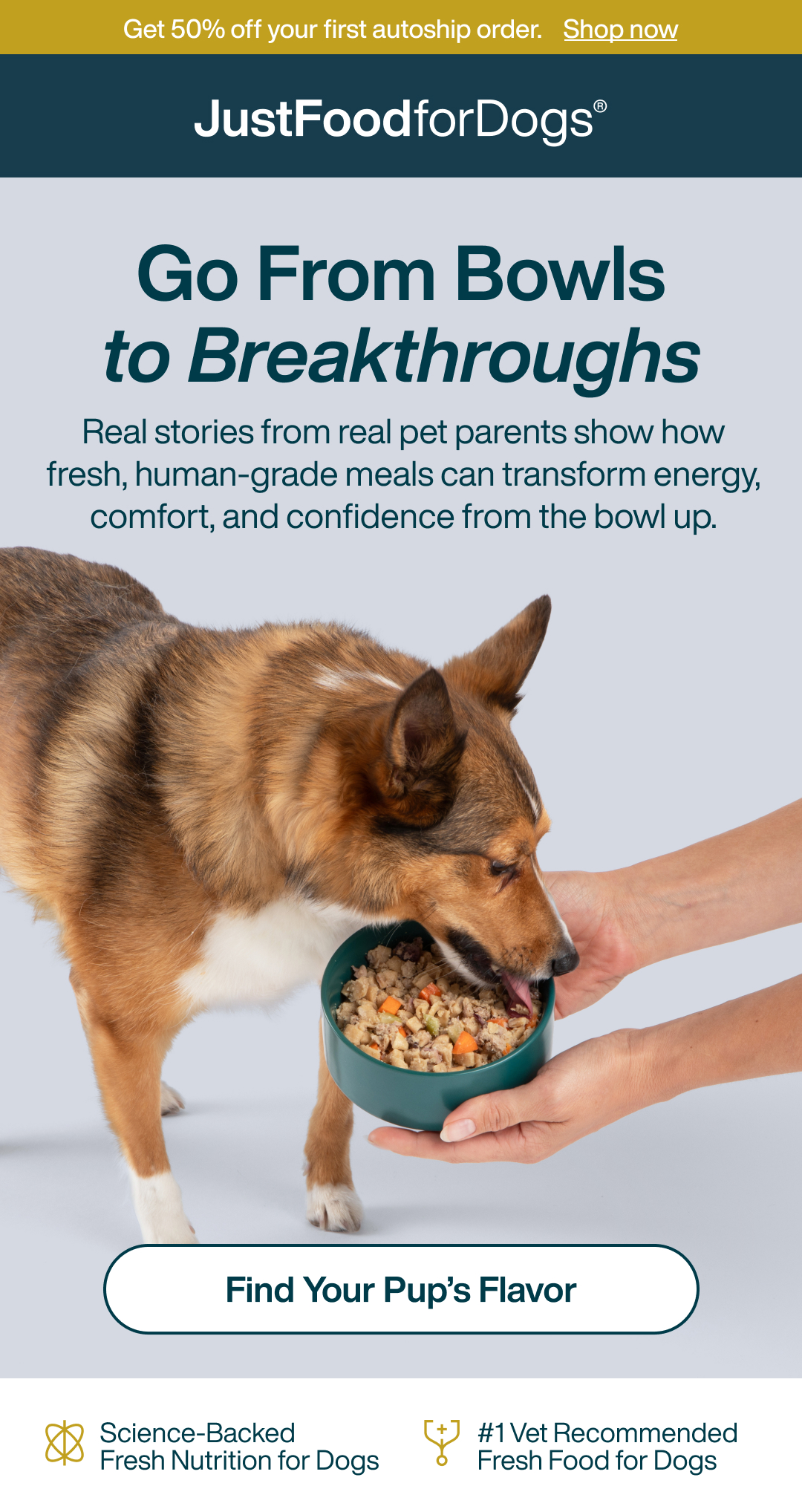 Find Your Pup's Flavor