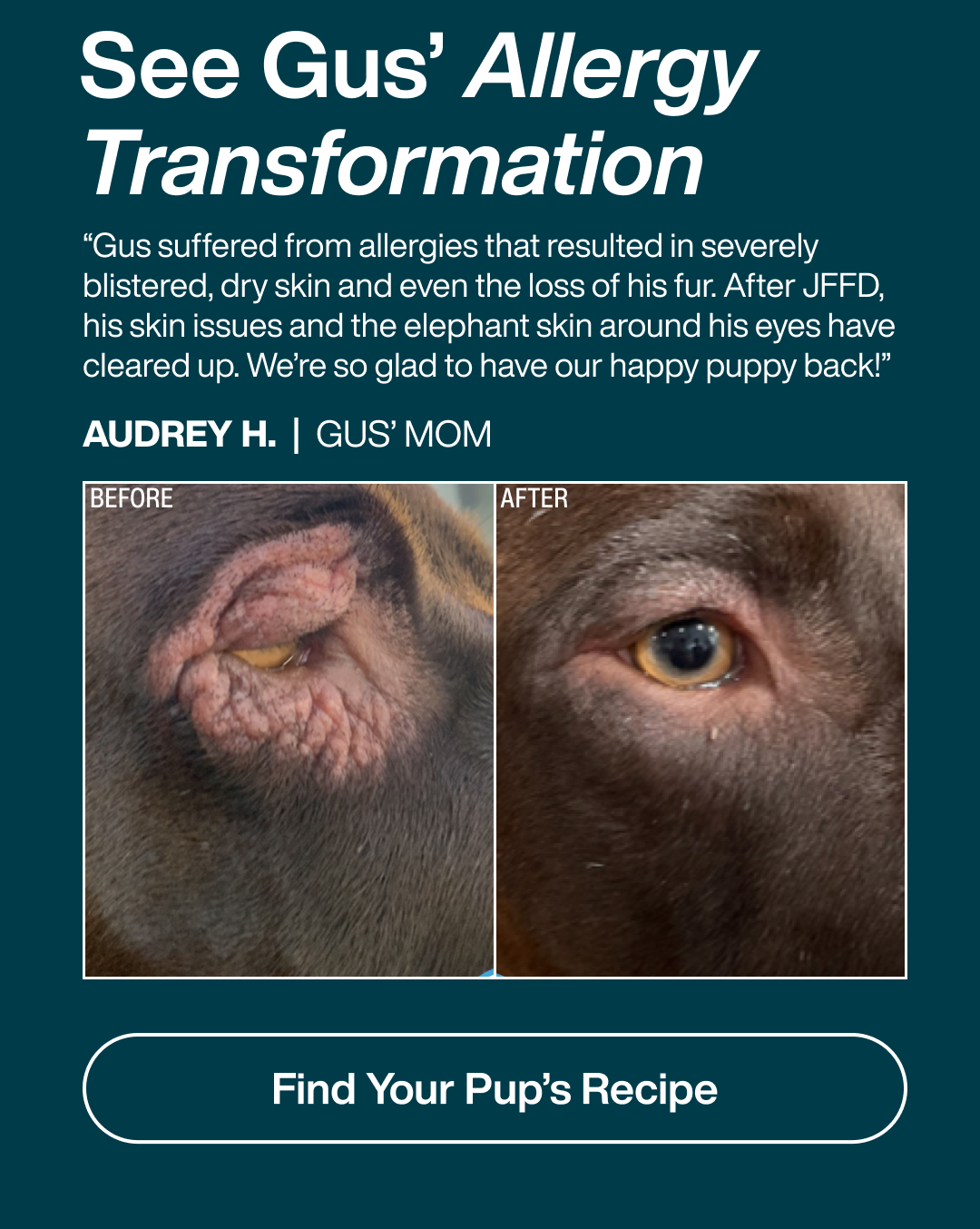 Find Your Pup's Flavor