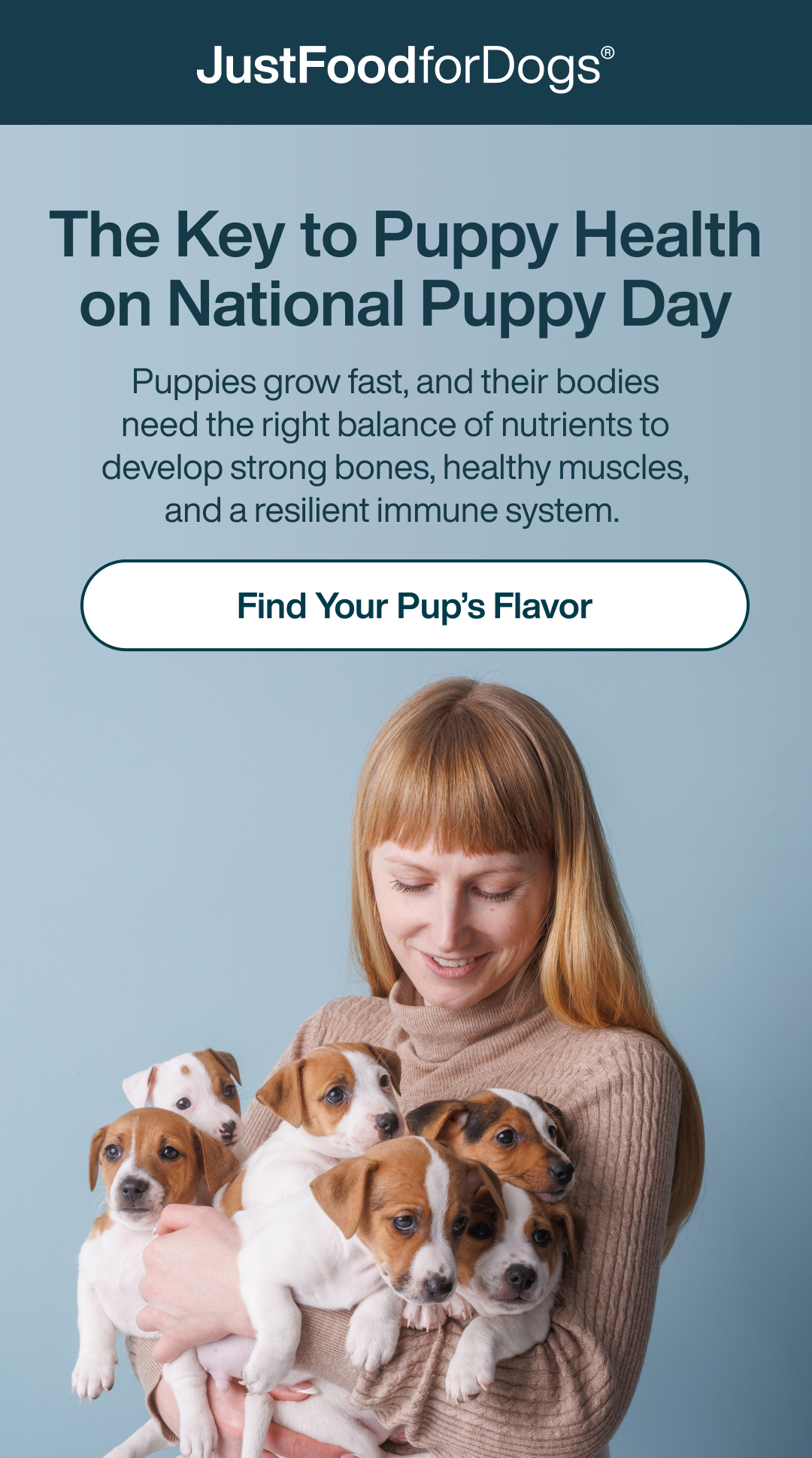 Find Your Pup's Recipe