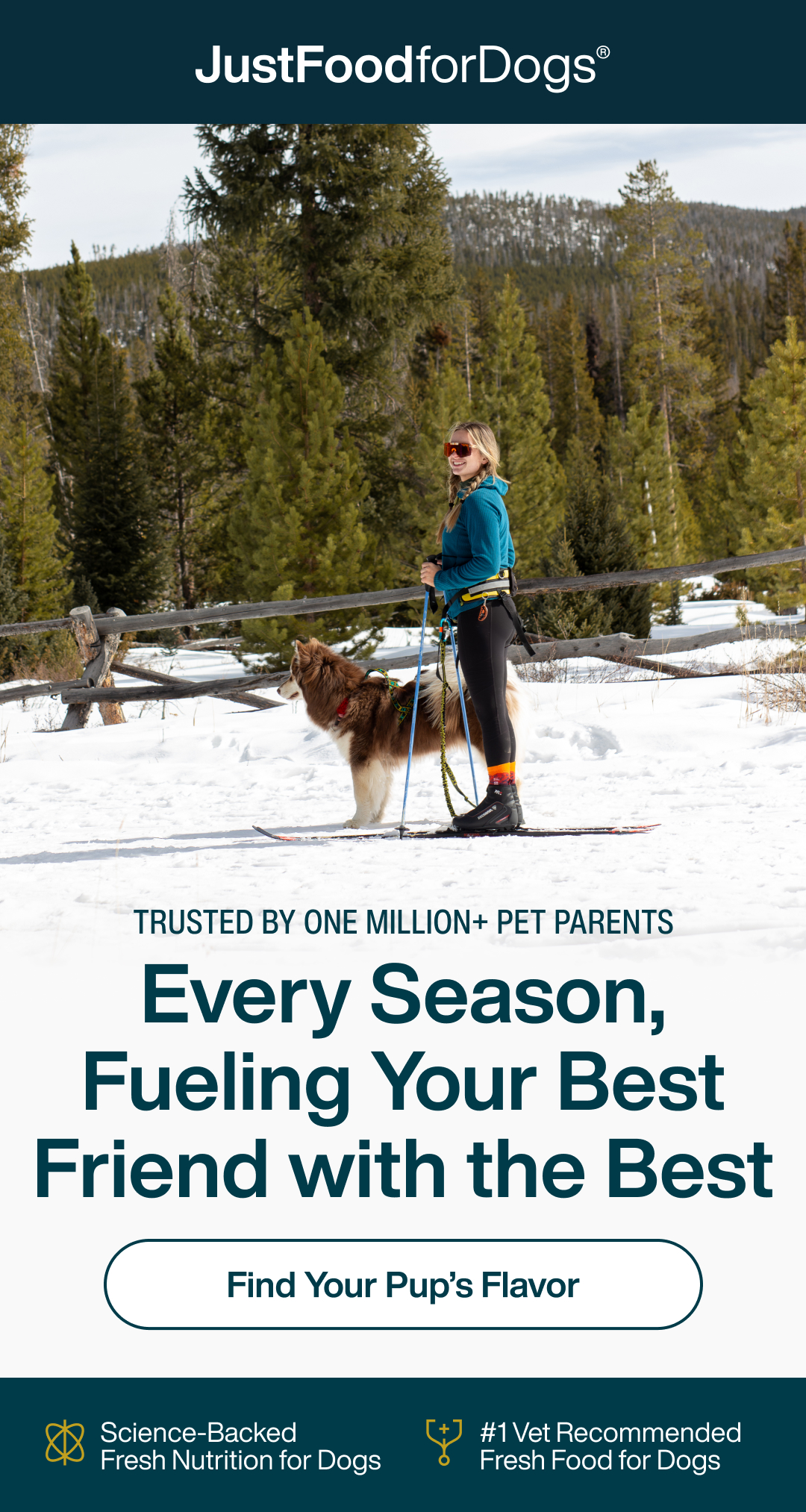 Find Your Pup's Flavor