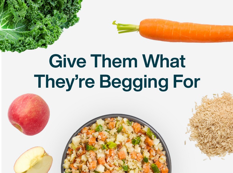 Just Food for Dogs in Kentucky | JustFoodForDogs