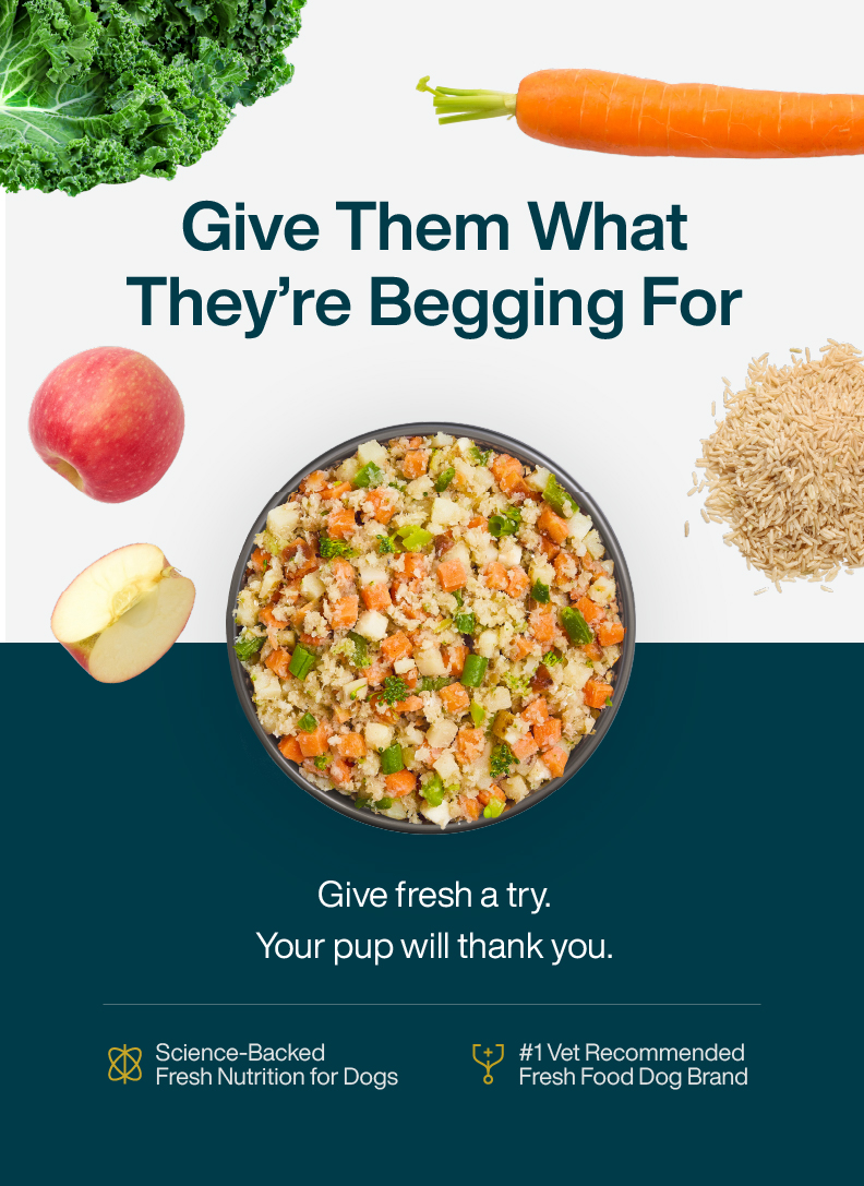 Just Food for Dogs in Kentucky | JustFoodForDogs