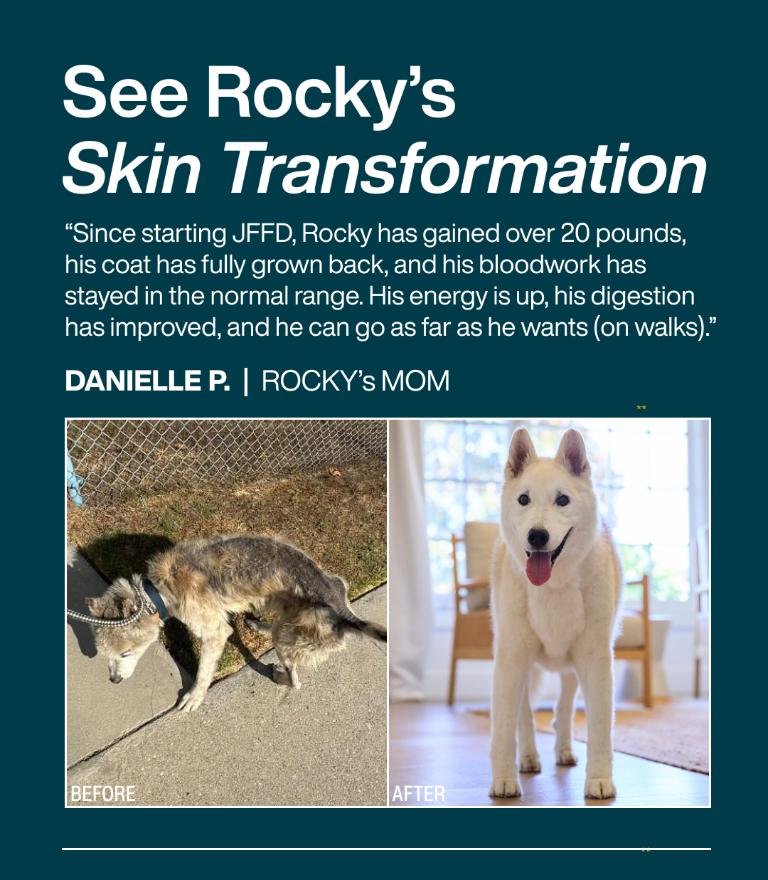 Find Your Pup's Flavor