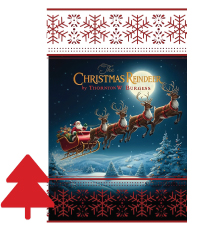 The Christmas Reindeer