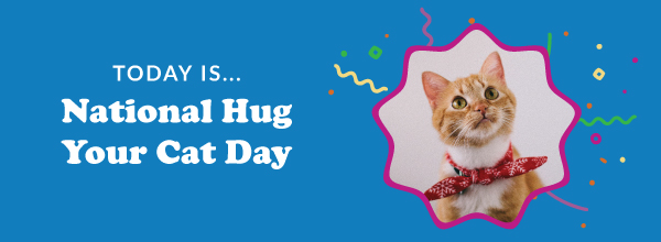 Today Is... National Hug Your Cat Day 