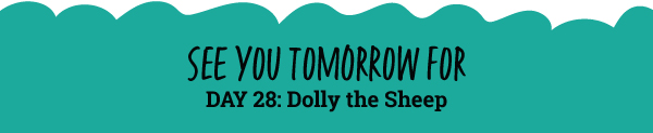 See You Tomorrow For: What Is an Eclipse? 