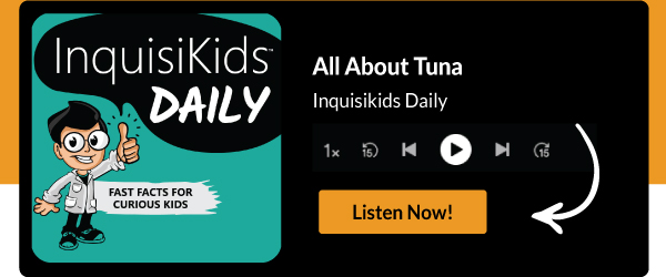 All About Tuna