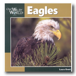 Our Wild World Series: Eagles by Laura Evert 