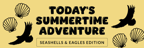 Today's Summertime Adventure: Seashell & Eagles Edition