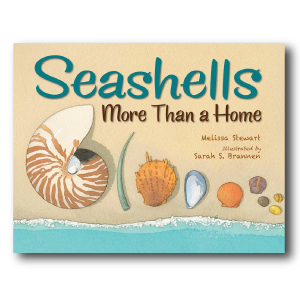 Seashells: More Than a Home by Melissa Stewart 