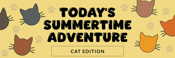 Today's Summertime Adventure: Cat Edition