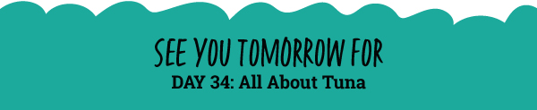 See You Tomorrow For: All About Tuna 
