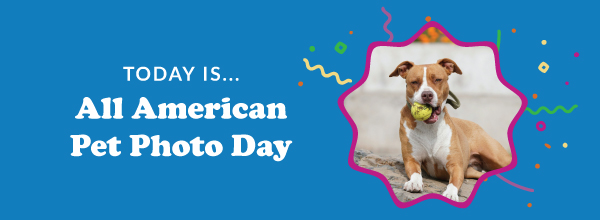 Today Is... All American Pet Photo Day 