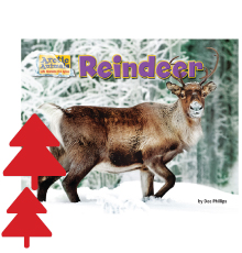 Reindeer (Arctic Animals: Life Outside the Igloo)