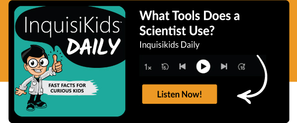 What Tools Does a Scientist Use? 