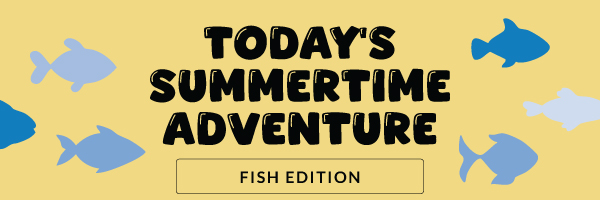 Today's Summertime Adventure: Fish Edition