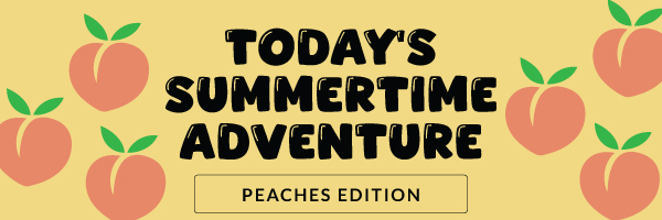 Today's Summertime Adventure: Parks Edition