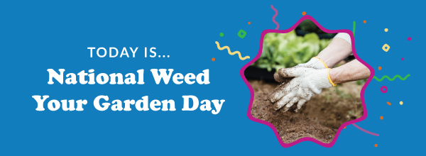 Today Is... National Weed Your Garden Day 