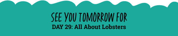 See You Tomorrow For: All About Lobsters 