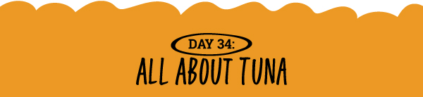 All About Tuna 