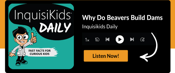 Why Do Beavers Build Dams? 