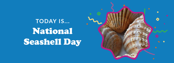 Today Is... National Seashell Day 