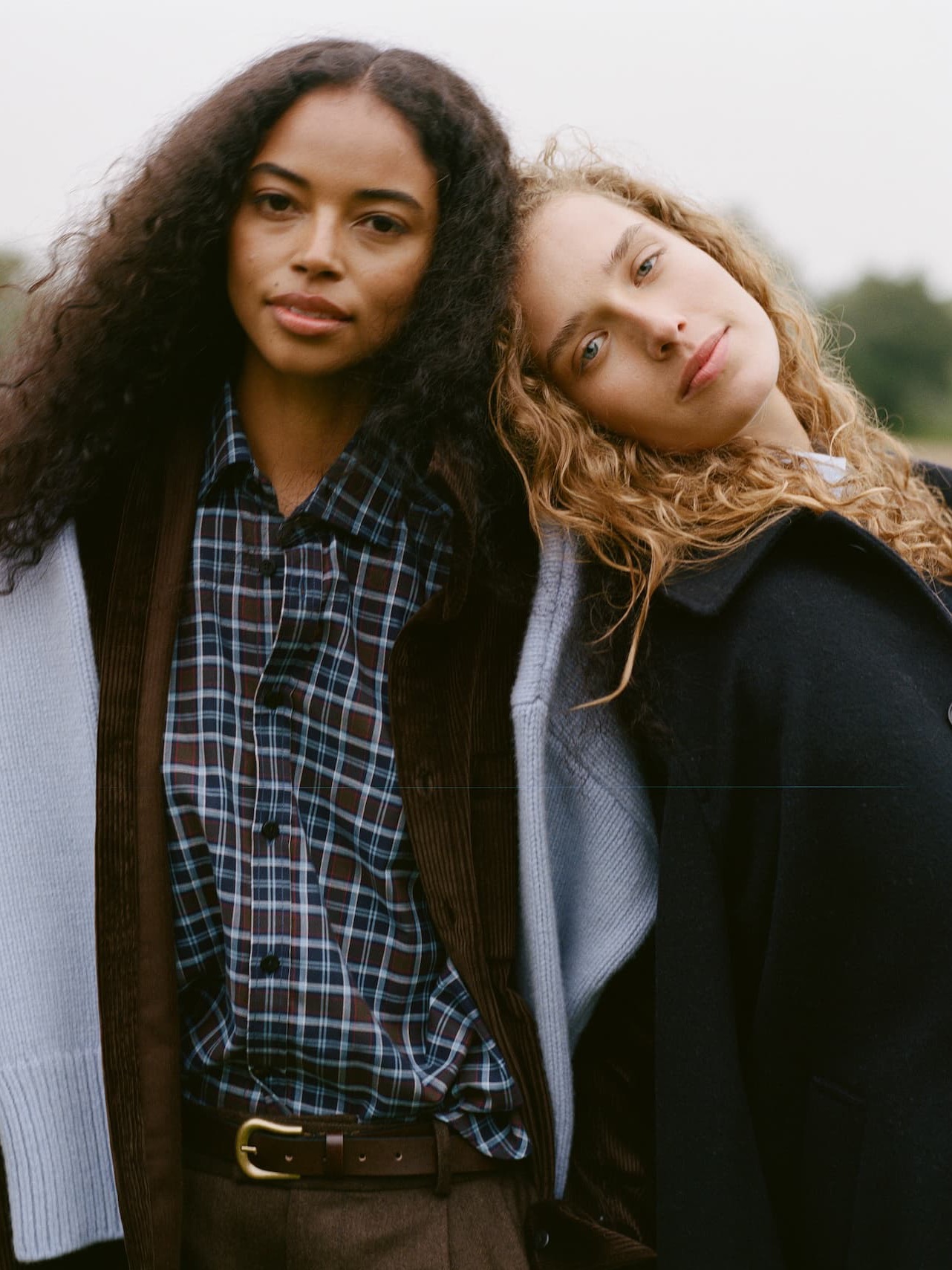 The Classic Shirt: Fine Brushed, Chocolate and Cornflower Blue Check in 100% Cotton