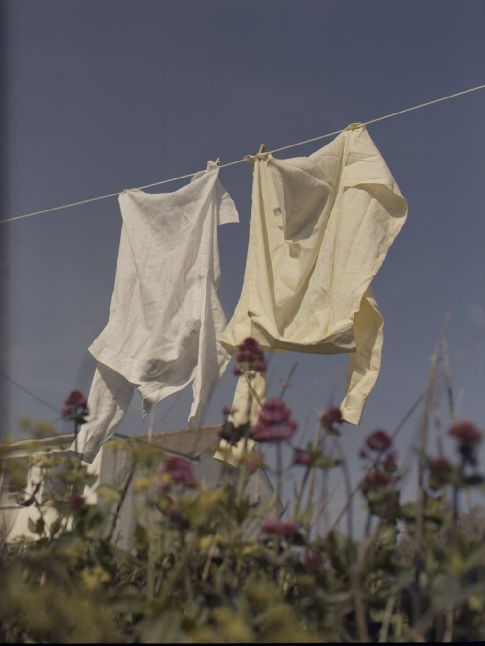 The Boyfriend Linen Lemon Yellow 